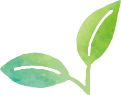 葉っぱのあしらい