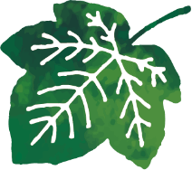 葉っぱのあしらい