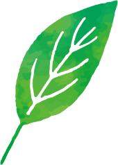 葉っぱのあしらい