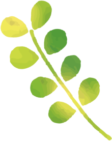 葉っぱのあしらい