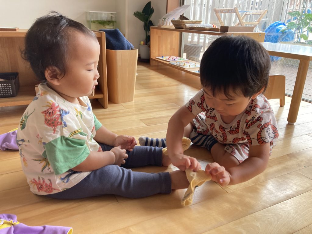 画像：たて割り